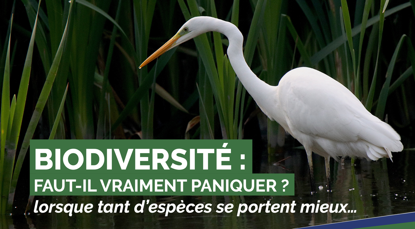 Biodiversité : faut-il paniquer ? Action Écologie publie une nouvelle étude Biodiversité : faut-il paniquer ? Action Écologie publie une nouvelle étude