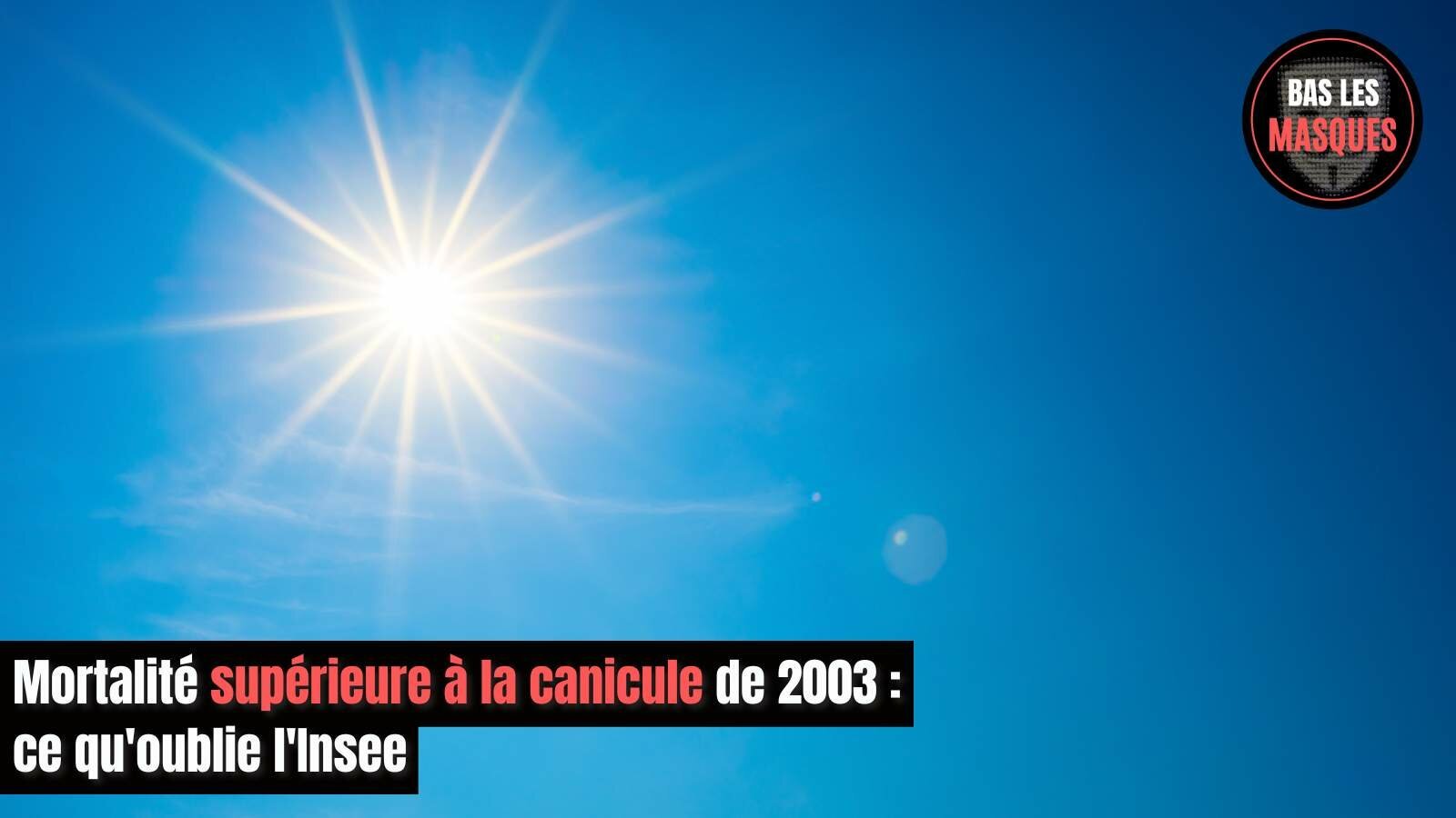 Mortalité supérieure à la canicule de 2003 : ce qu'oublie l'Insee Mortalité supérieure à la canicule de 2003 : ce qu'oublie l'Insee