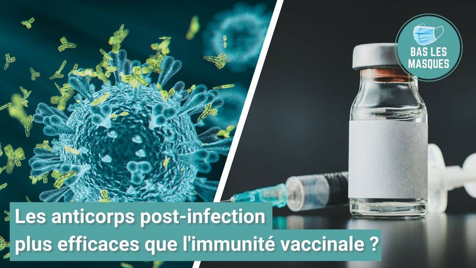 Les anticorps post-infection plus efficaces que l'immunité vaccinale ? Les anticorps post-infection plus efficaces que l'immunité vaccinale ?