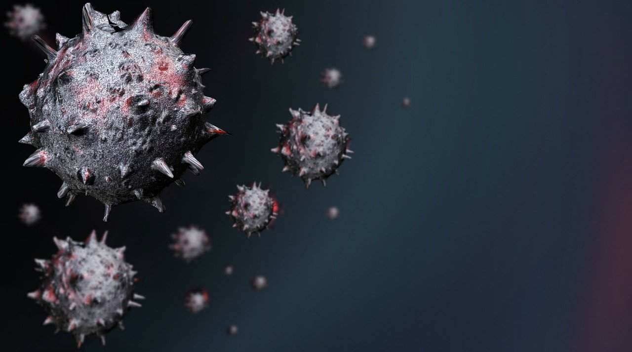 Le bilan épidémique qui accable la surréaction occidentale