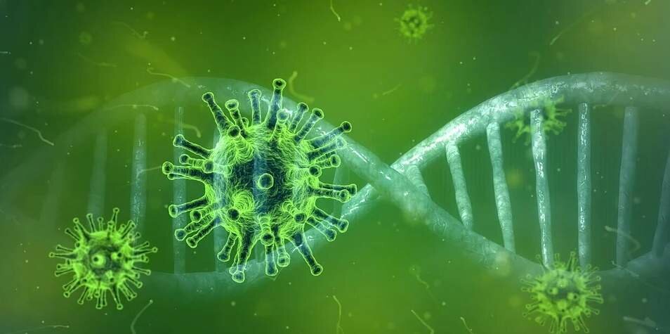 Tous confinés, mais pas tous égaux devant le coronavirus Tous confinés, mais pas tous égaux devant le coronavirus