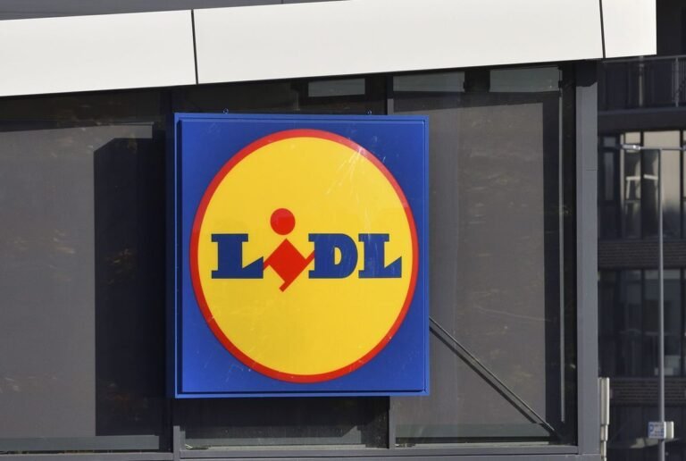 je suis une ex employée de lidl et voici le meilleur jour pour aller faire vos courses pour éviter le monde
